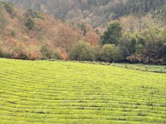 -敬亭山风景名胜区