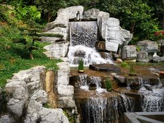 -深圳仙湖植物园