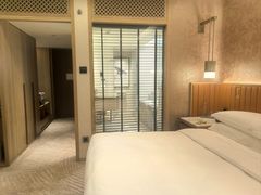 -新加坡文华东方酒店