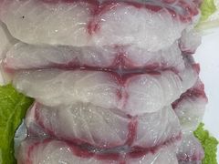 -金砂阿洲鱼册店