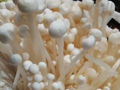 -唇辣号重庆老火锅(亦庄店)