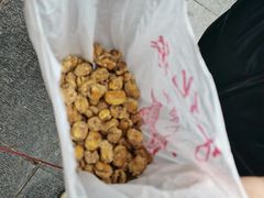 -崩豆张(古文化街店)