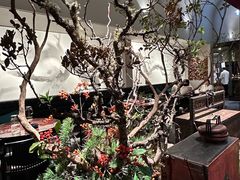 -106餐厅北京菜.烤鸭(百子湾店)