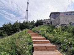 -白草畔自然风景区