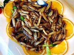 清炒蟹柳-新花城蟹粉馆(乌鲁木齐店)