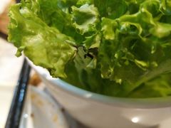 -韩宫宴烤肉·料理(南京江宁万达店)