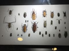 -燕莎友谊商城(亮马桥店)
