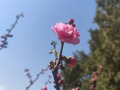 -颐和园