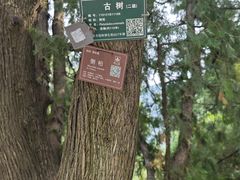 -香山公园