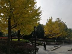 -苏州河梦清园环保主题公园