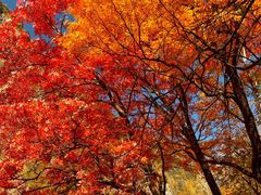 -叠溪松坪沟景区