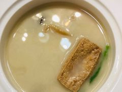 口袋豆腐-松云泽
