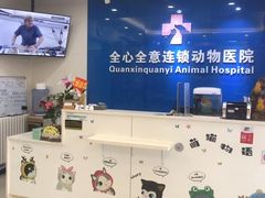 -全心全意连锁动物医院·微创中心·内科急重症·心脏专科(丰管路店)