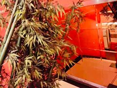 -野妹火锅(龙岗店)
