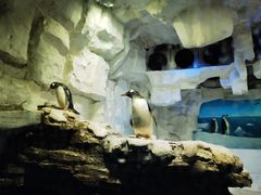 -华夏文旅海洋公园