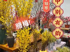 -金汇四季广场