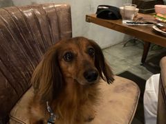 -Ginger(兴国路店)