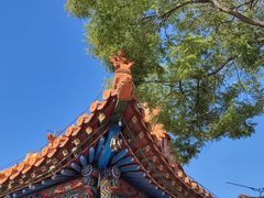 -大召无量寺