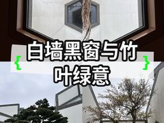 -苏州博物馆