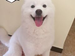 -北京佳信宠物医院