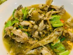 -春江酒楼(海宁盐官环城南路店)