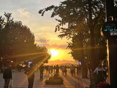 -周素珍湖州大馄饨(直戒坛寺巷店)