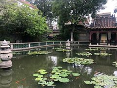 -碧江金楼