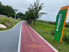 -澹台湖公园