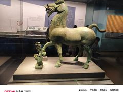 -广西壮族自治区博物馆