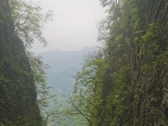 -塔云山