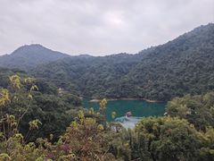 -鼎湖山风景区
