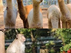 -华海酒店(茂名高铁站店)