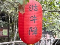 -石台牯牛降景区