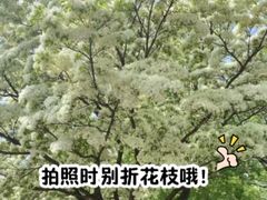 -泰丰公园