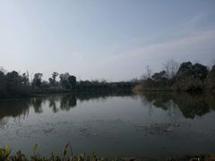 -艾溪湖湿地公园