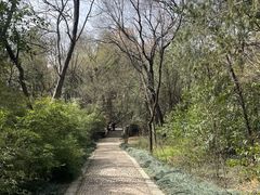 -嵖岈山风景区