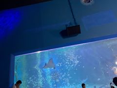 -常州海昌海洋探索馆
