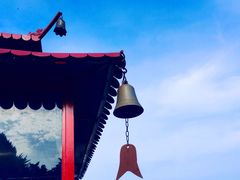 -枸杞岛