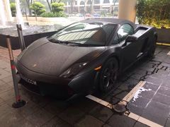 -新加坡雅庭假日酒店