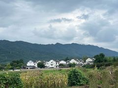 -黄牛肉馆·皖南土菜