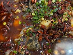 -黑竹香鸡(营和巷店)