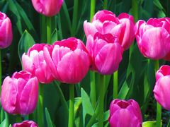 -北京植物园南门售票处