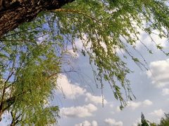 -召稼楼古镇