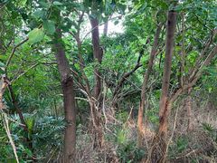 -盐城丹顶鹤湿地生态旅游区