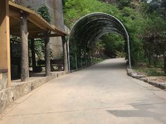 -十渡东湖港风景区