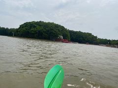 -上海海湾国家森林公园