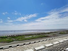 -南汇新城海滩
