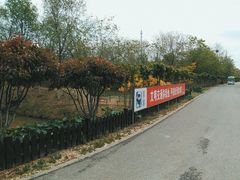 -西青郊野公园