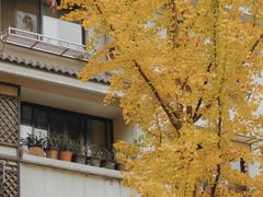 -Auco游咖.咖啡(清吟街店)