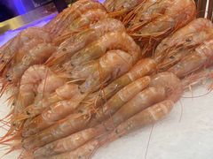 -九月海·海鲜自助(世纪东方店)